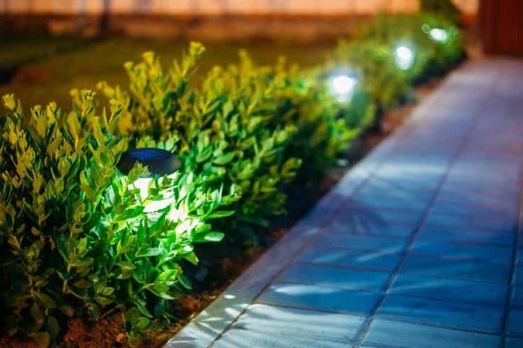 Solar lights line the walkway